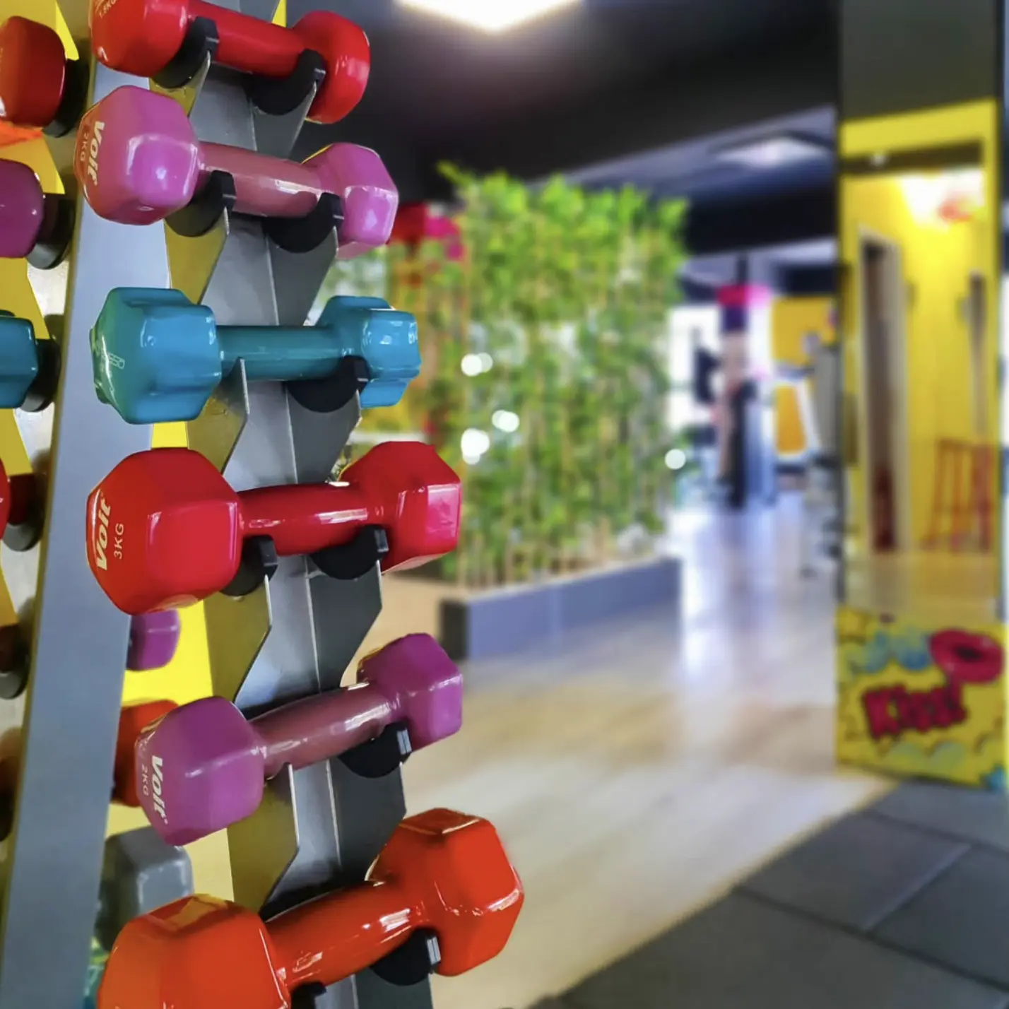 bluegympilates